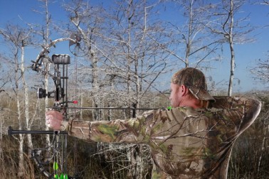 You are currently viewing Aenean fermentum